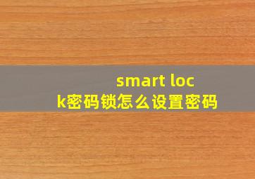 smart lock密码锁怎么设置密码